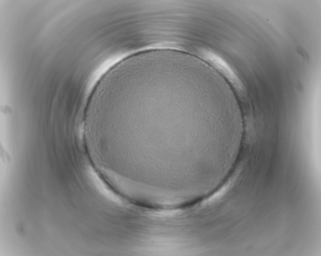 X0000091181284200708091215