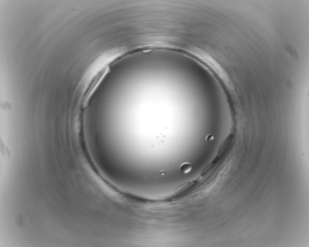 X0000091181285200708091215
