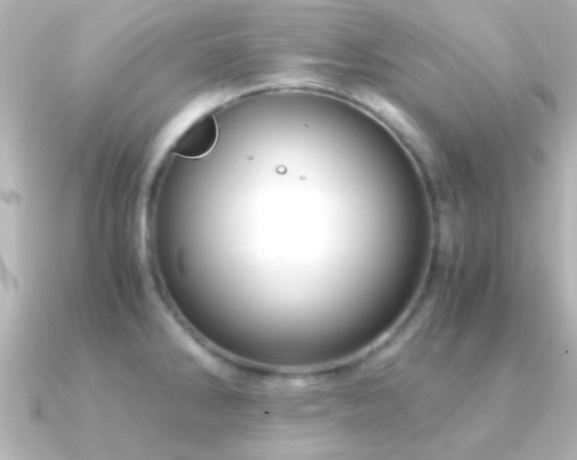 X0000091181286200708091215