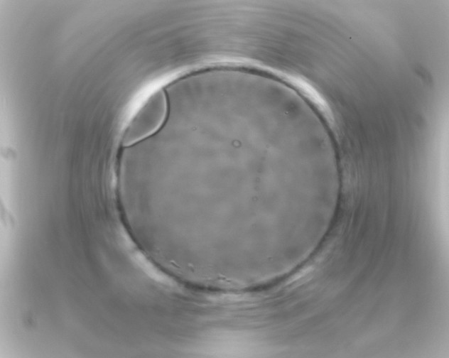 X0000091181287200708091215