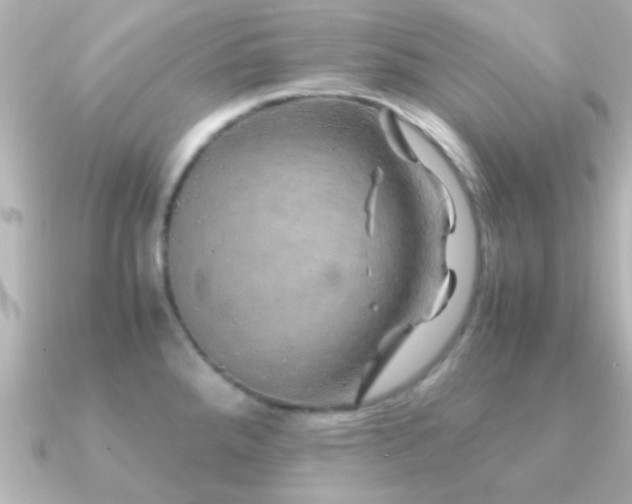 X0000091181288200708091215