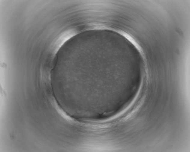 X0000091181289200708091215