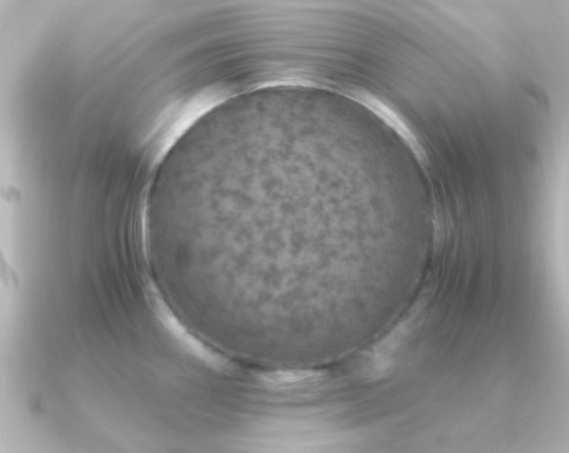 X0000091181290200708091215