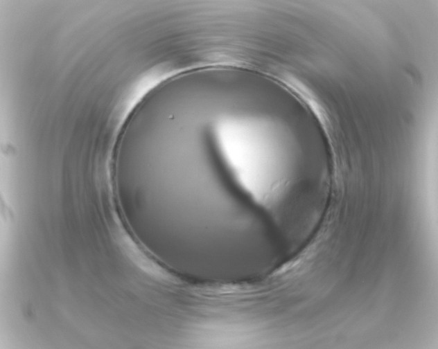 X0000091181291200708091215