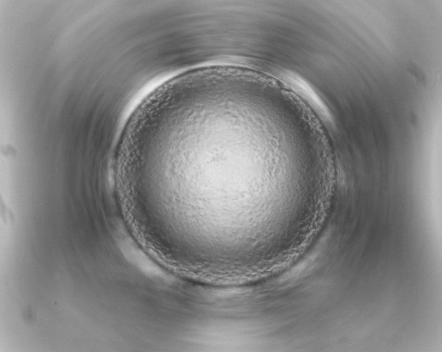X0000091181292200708091215