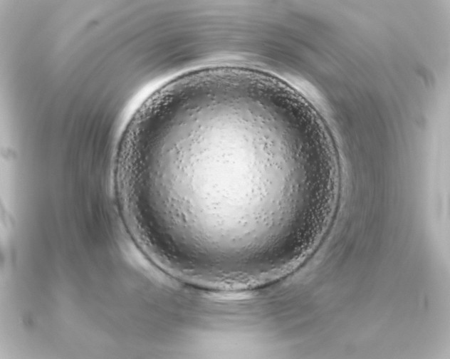 X0000091181296200708091215