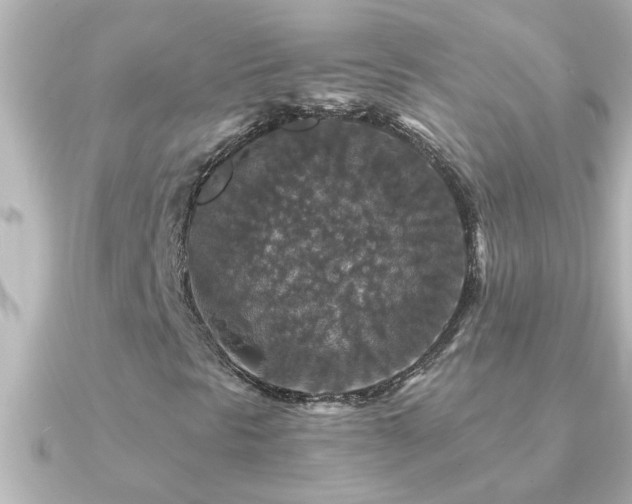 X0000091181297200708091215