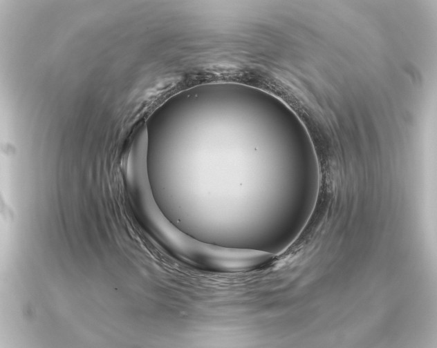 X0000091181298200708091215