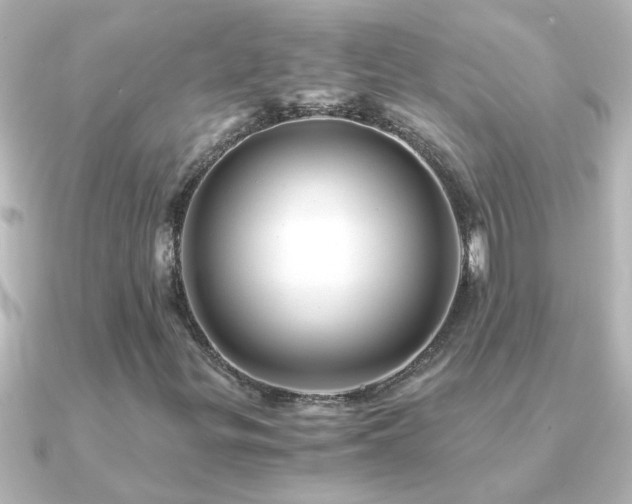 X0000091181299200708091215