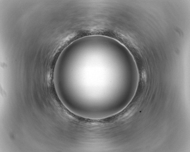X0000091181300200708091215