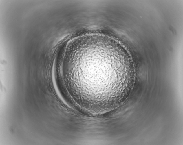 X0000091181301200708091215