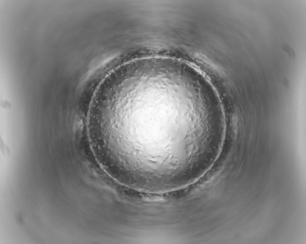 X0000091181302200708091215