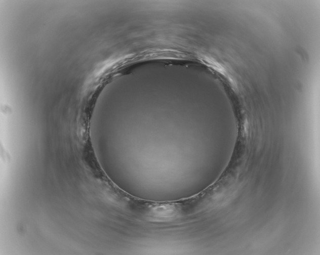 X0000091181303200708091215
