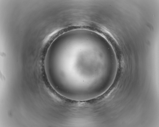 X0000091181304200708091215