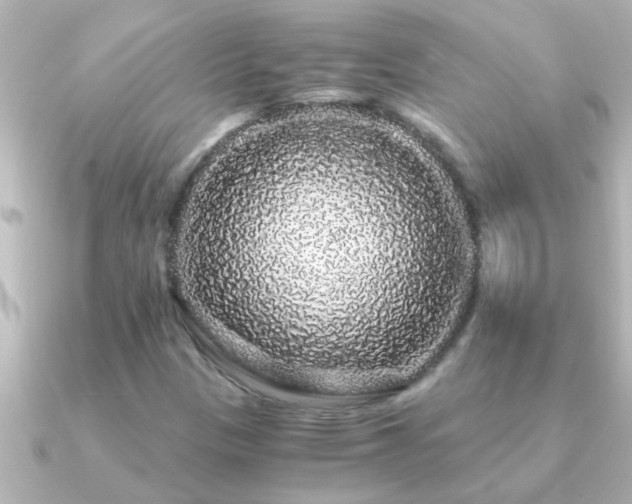 X0000091181305200708091215
