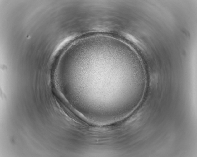 X0000091181307200708091215