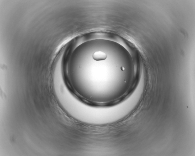 X0000091181308200708091215