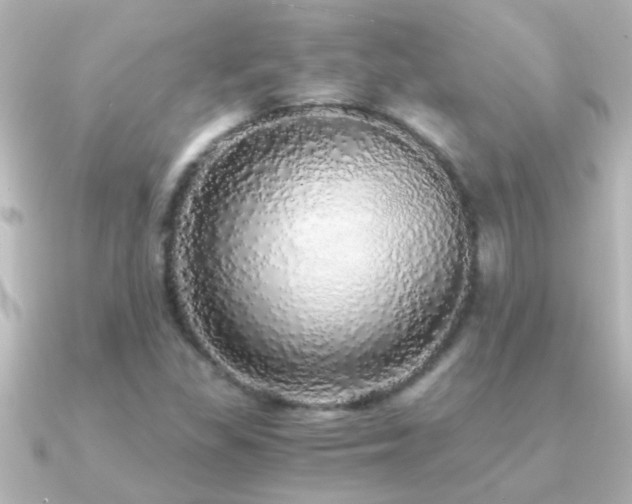 X0000091181309200708091215