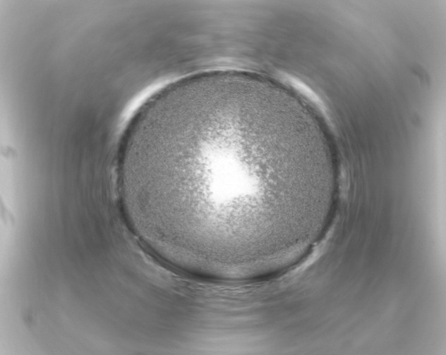 X0000091181310200708091215