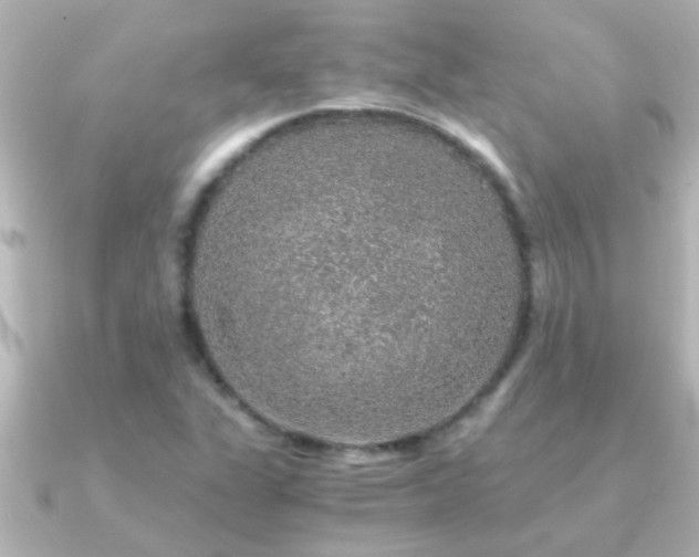 X0000091181311200708091215