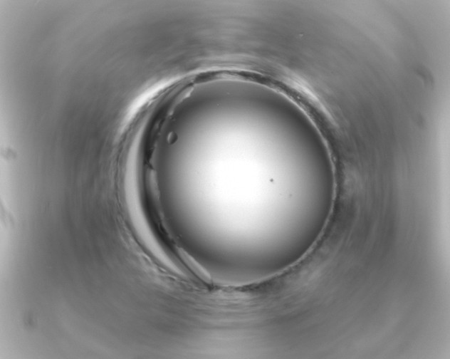 X0000091181312200708091215
