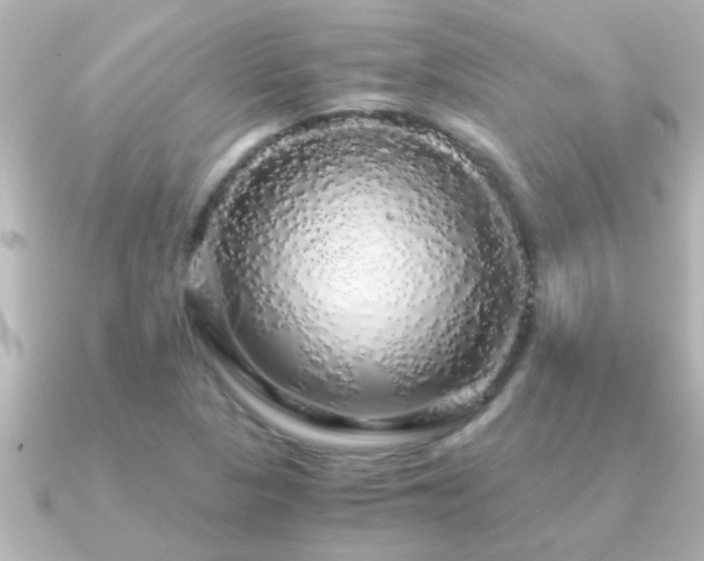 X0000091181313200708091215