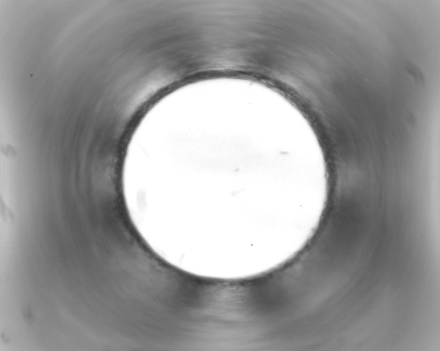 X0000091181314200708091215
