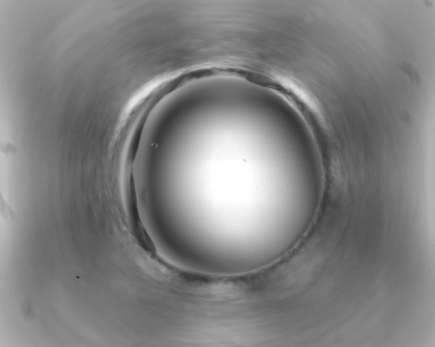 X0000091181316200708091215