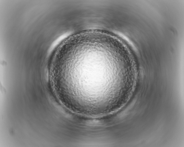 X0000091181317200708091215