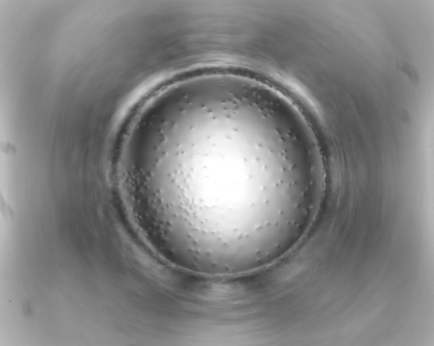 X0000091181318200708091215