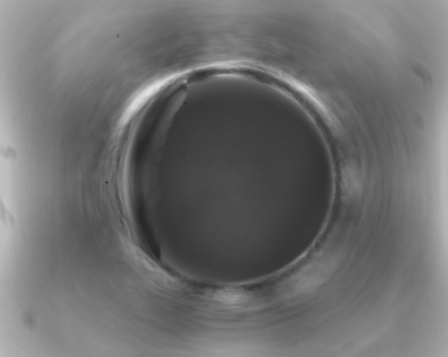 X0000091181319200708091215