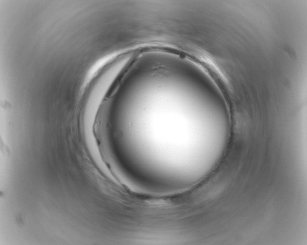X0000091181320200708091215
