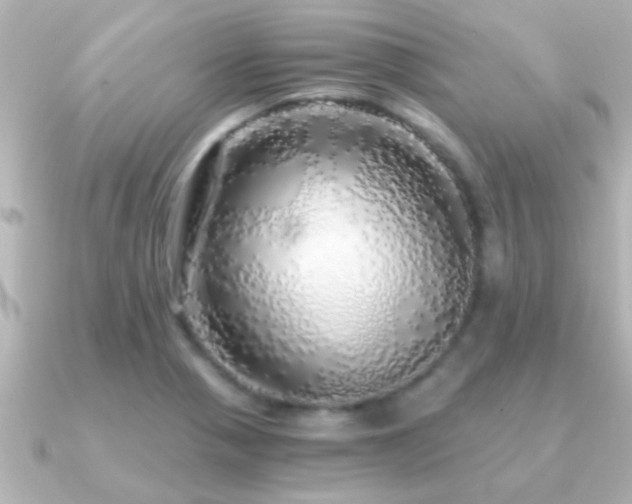 X0000091181321200708091215