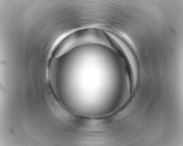 X0000091181324200708091215