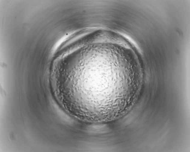 X0000091181325200708091215