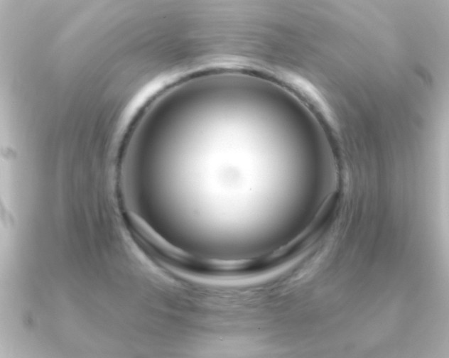 X0000091181326200708091215