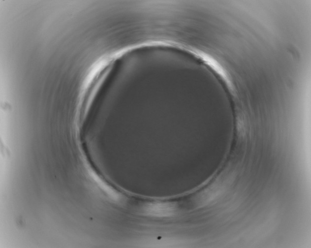 X0000091181327200708091215