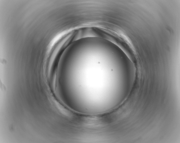 X0000091181328200708091215