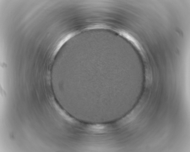 X0000091181329200708091215