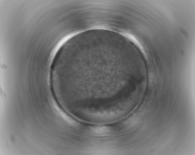 X0000091181331200708091215