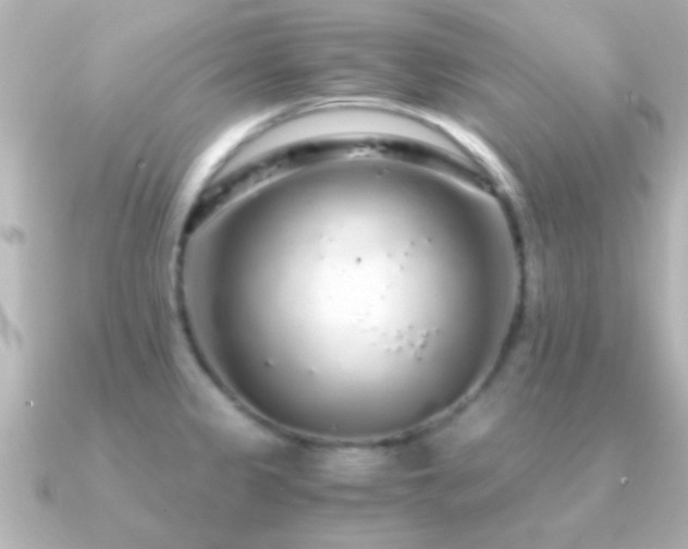 X0000091181333200708091215