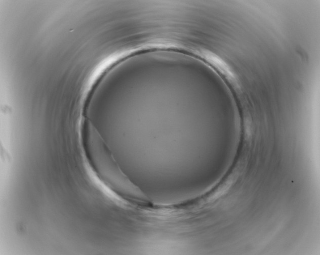X0000091181334200708091215