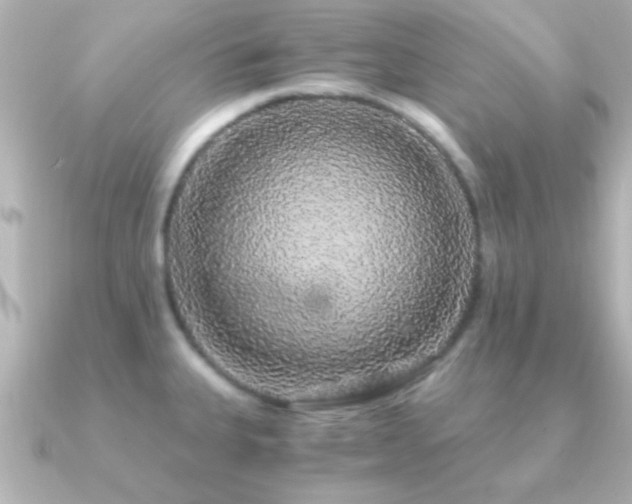 X0000091181335200708091215
