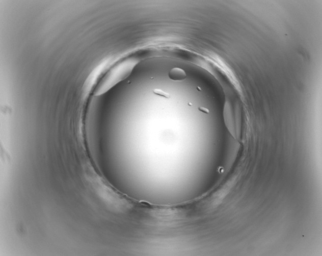 X0000091181336200708091215