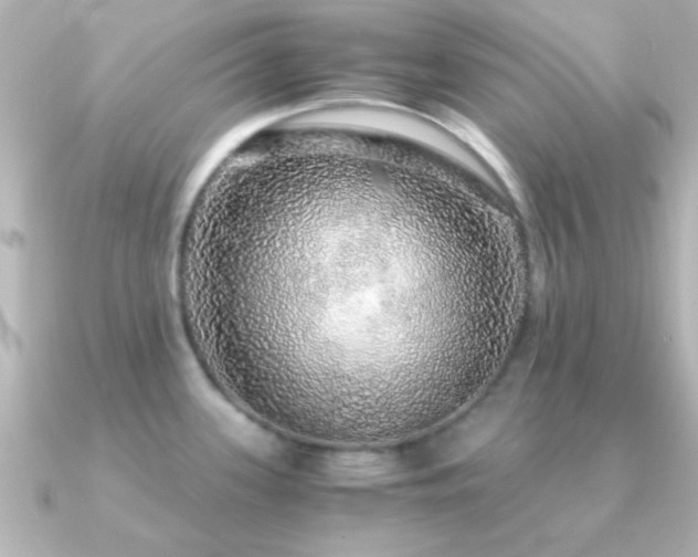 X0000091181339200708091215