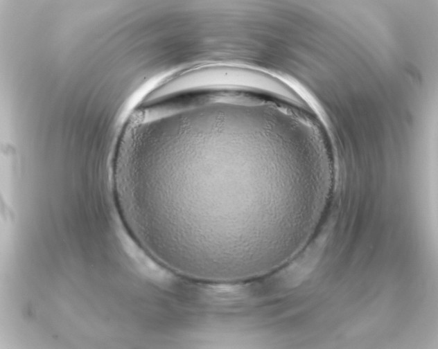 X0000091181341200708091215