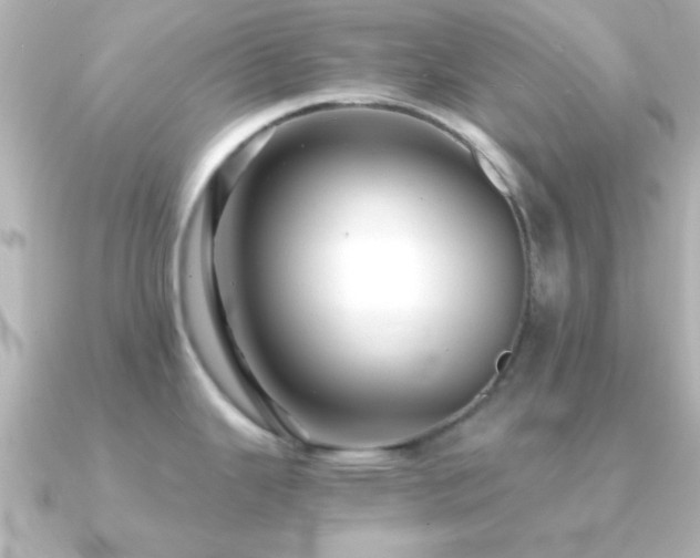 X0000091181343200708091215