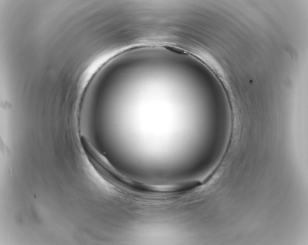 X0000091181344200708091215