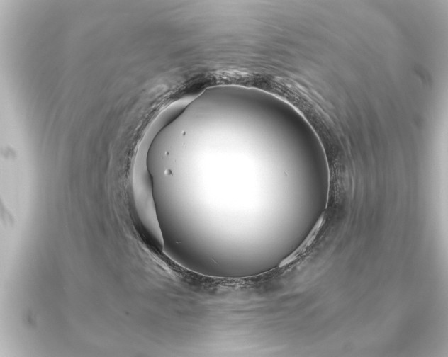 X0000091181345200708091215