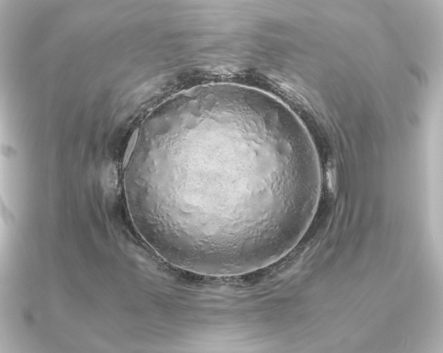 X0000091181347200708091215